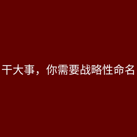 名字赢：干大事，你需要战略性命名