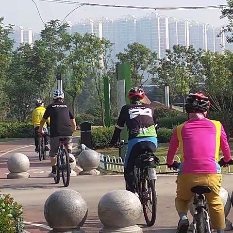 追风