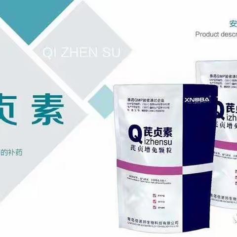 母猪为什么要搞净化？应该怎么搞？