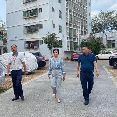 吉阳区副区长陈练到春光社区督导创文巩卫工作