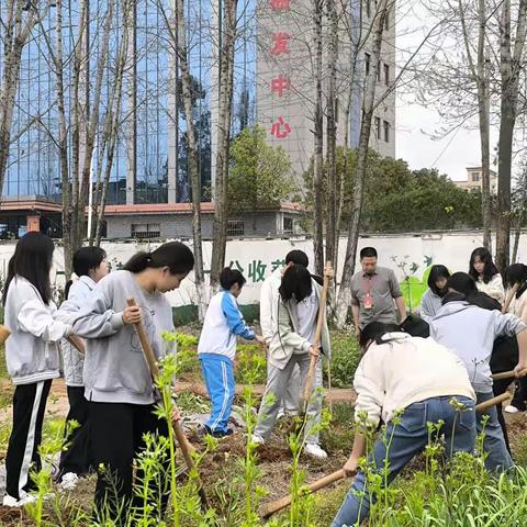 22级电子2班之劳动剪影（上）