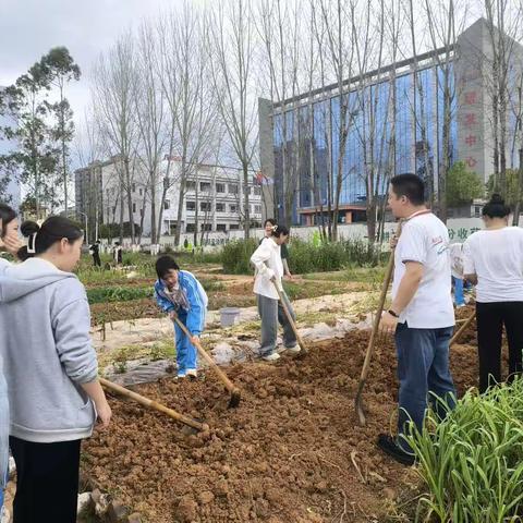 22级电子2班之劳动剪影（中）