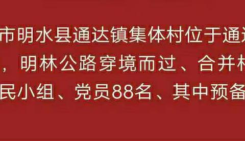 建党100周年“通达镇集体村党总支”活动纪实