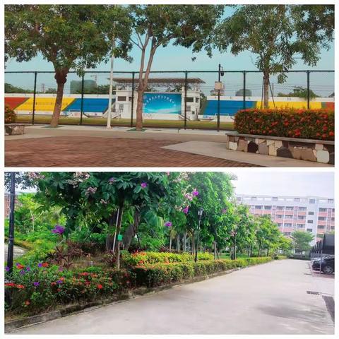 北京师范大学万宁附属中学研学第四天