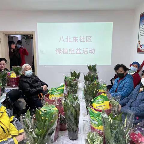 八北东社区组织开展绿植组盆活动