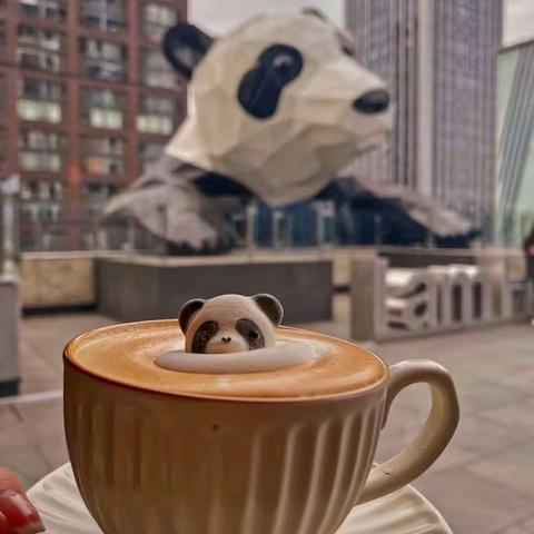 阿奎利亚一(5)班朱梓蓄