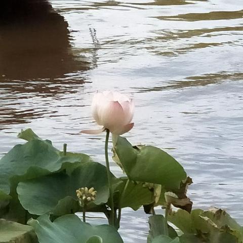 吴雨锡的假期生活