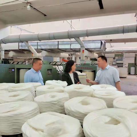 调研纺织服装企业  推动构建产业链