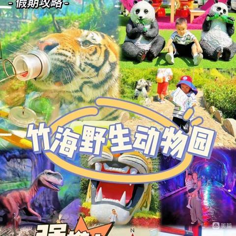 特价看熊猫了🐼