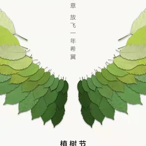 花花二班植树节社会实践活动———雅正青葵幼儿园