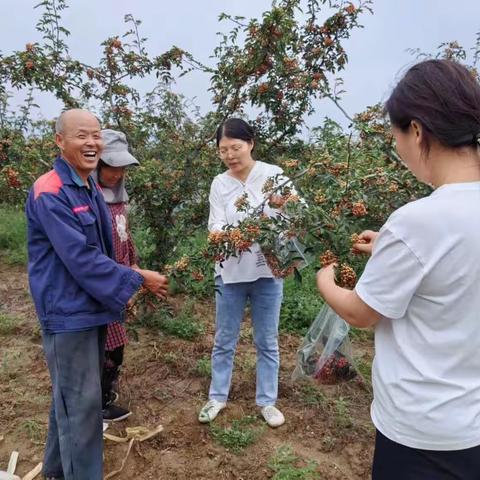 韩城市花椒研究所联合为康公司开展韩城花椒种质资源收集检测工作