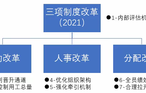 乳山农发集团： 多领域多行业，由多家包袱沉重划转企业，新组建而成的国有农业集团，三项制度改革怎么做？