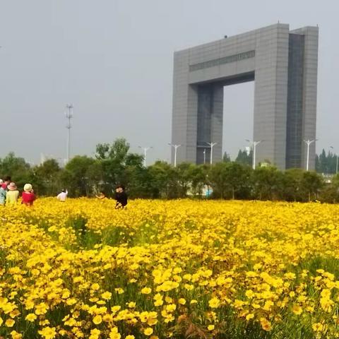 江海门花海