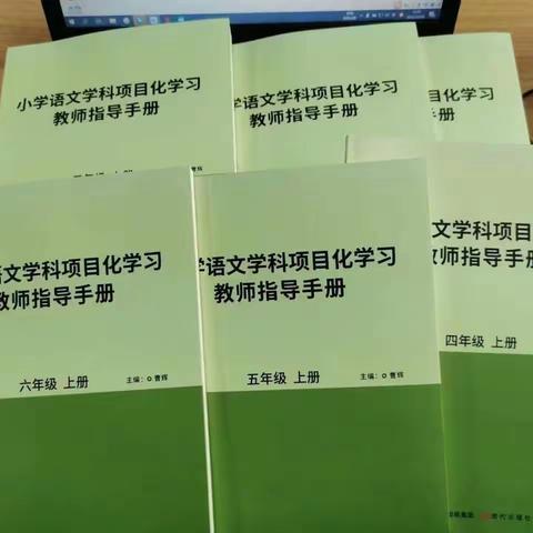 一本能直接拿来教学的项目化课堂教师教案手册