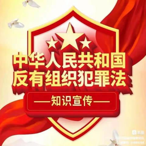 高擎《反有组织犯罪法》利剑，护佑实验师生平安！