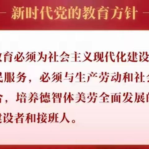 落实双减政策，让学生健康快乐成长