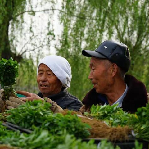 万企兴万村（第2期）--上市企业晨光生物科技集团股份有限公司发挥企业优势投身乡村振兴（副本）