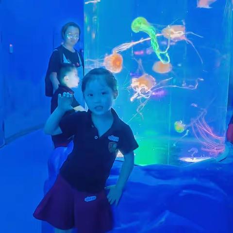 保护海洋环境，争做环保卫士——2023年5月18日渝北区黄桷坪幼儿园中班赴融创海洋世界之旅