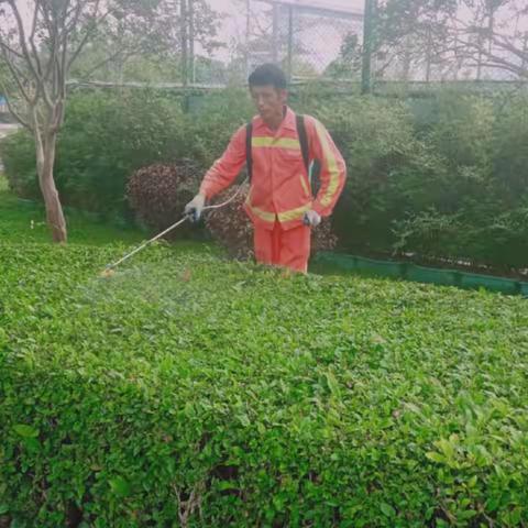 大浪公园Ａ标2023年4月29日工作总结