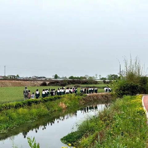 徜徉春风踏歌行，劳动实践必躬行——旌阳区西街小学校一二年级春季研学活动