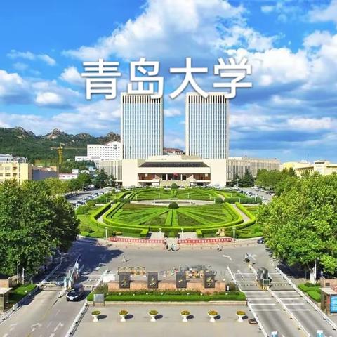 青岛大学2023年本科综合评价招生章程