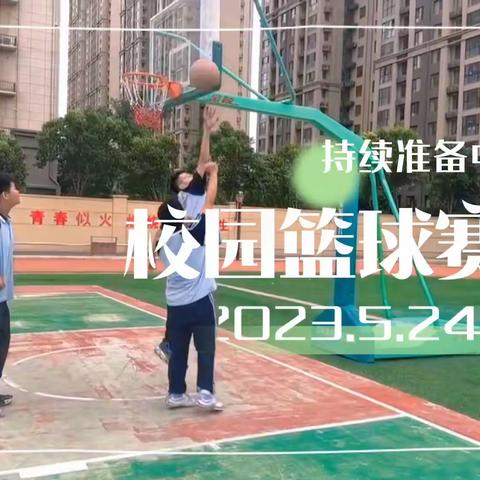 紫荆韶华———篮球赛特辑🏀