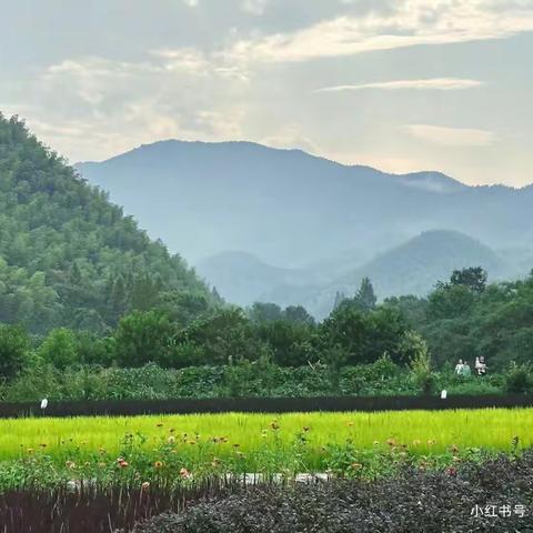 绿水青山就是金山银山