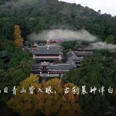 都中学子