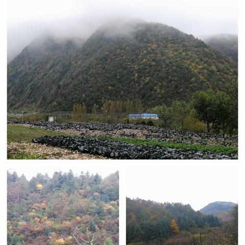 流年似水的美篇