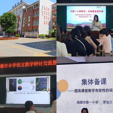 携手共创，集思广益——集体备课为课堂注入新活力