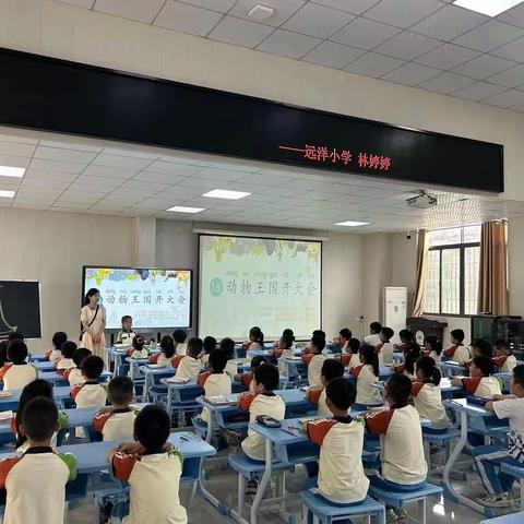 磨砺成锋，共话未来——记远洋小学新教师入职考核展示课