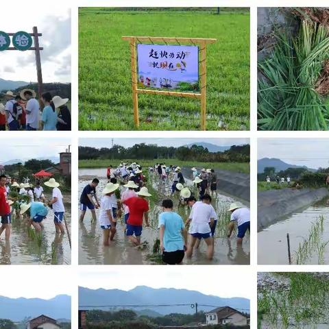 传承农耕文化，践行劳动教育——师大附中G2311班株洲炎陵乡村实践活动