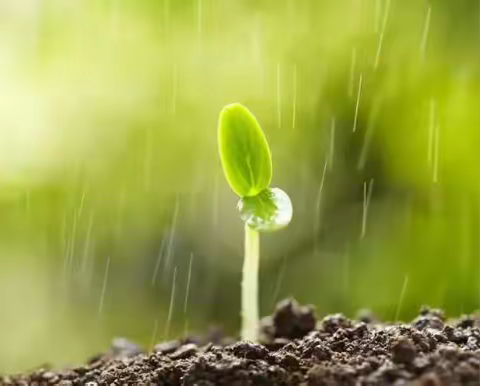 小雨沙沙