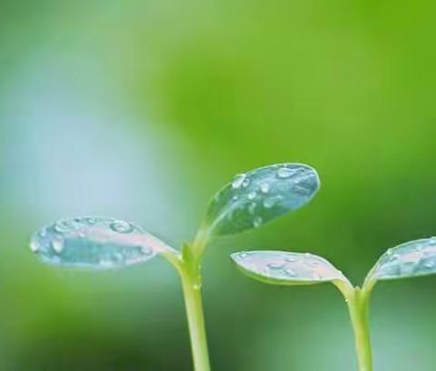 小雨沙沙