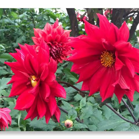 2022年秋季华苑小学近视防控校园宣讲活动