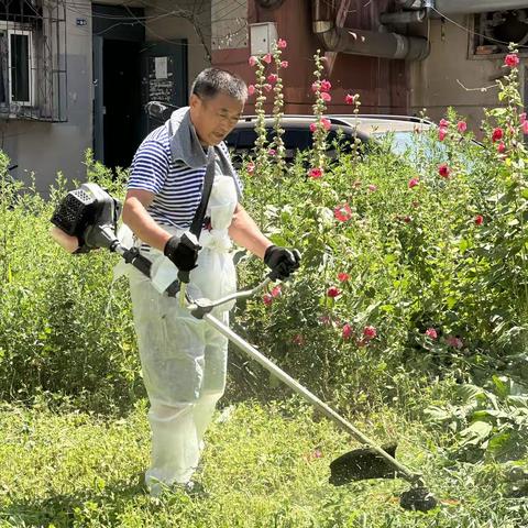 除草美化社区，“邻里守望”志愿者团队在行动