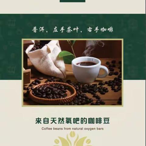 选好咖啡——我们一起走进普洱金漫咖啡有限公司