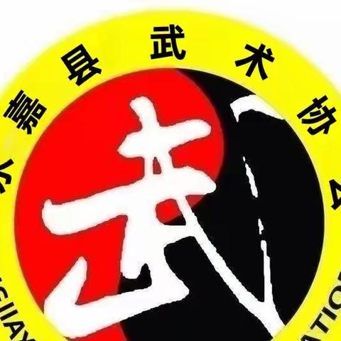 永嘉县武术协会参加2023第十五届浙江国际传统武术比赛载誉归来