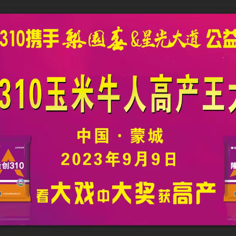 隆创310玉米牛人高产王大奖赛