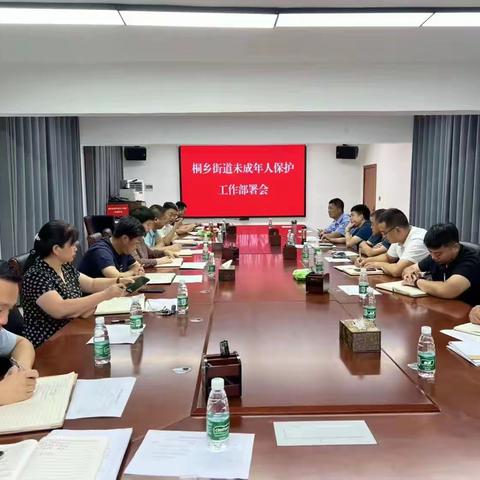 兰考县桐乡街道：多举措抓好未成年人安全工作 铸就未成年人“保护盾”