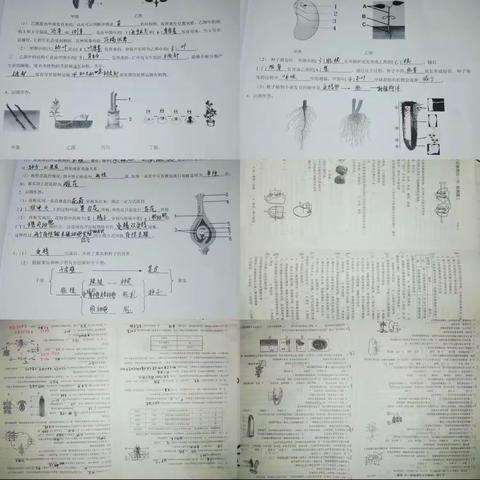 2022级10班7组生物作业