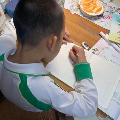 《辅导小学生暑假作业》师范学院小学教育2202杨君慧