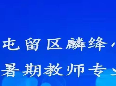 且听且学且收获——麟绛小学2023年暑期教师专业培训系列一