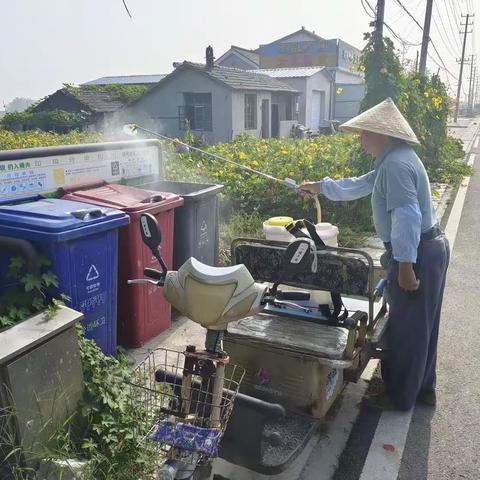 湖滨村开展垃圾桶消杀