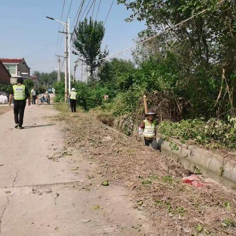 湖滨村持续开展人居环境整治，打造美丽宜居村庄