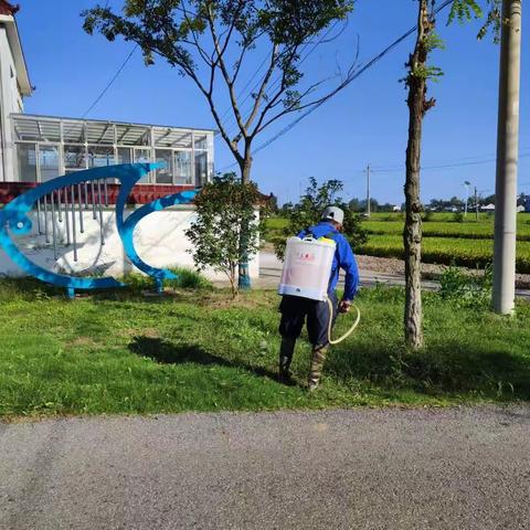 湖滨村开展环境整治工作