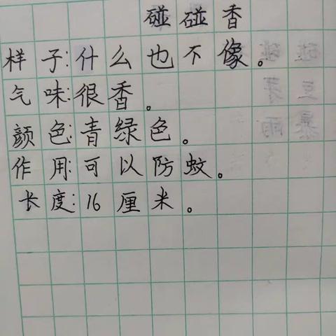 何子睿碰碰香观察记录