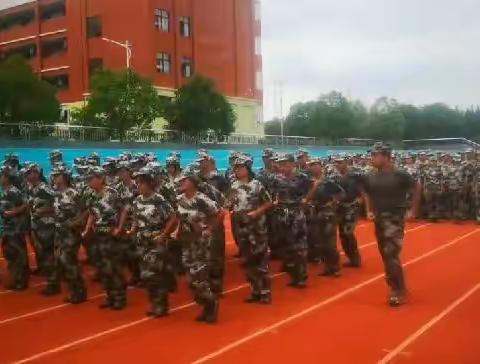 山中猛虎，水中蛟龙。​电子一班，卧虎藏龙。