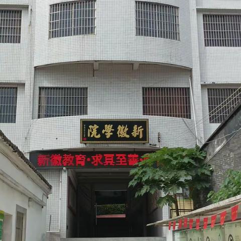 寻根溯源 追寻发展路径