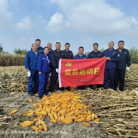 秋天的果实，收获的喜悦